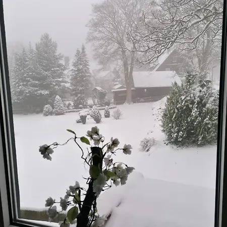 Mollseifen מלון 3*